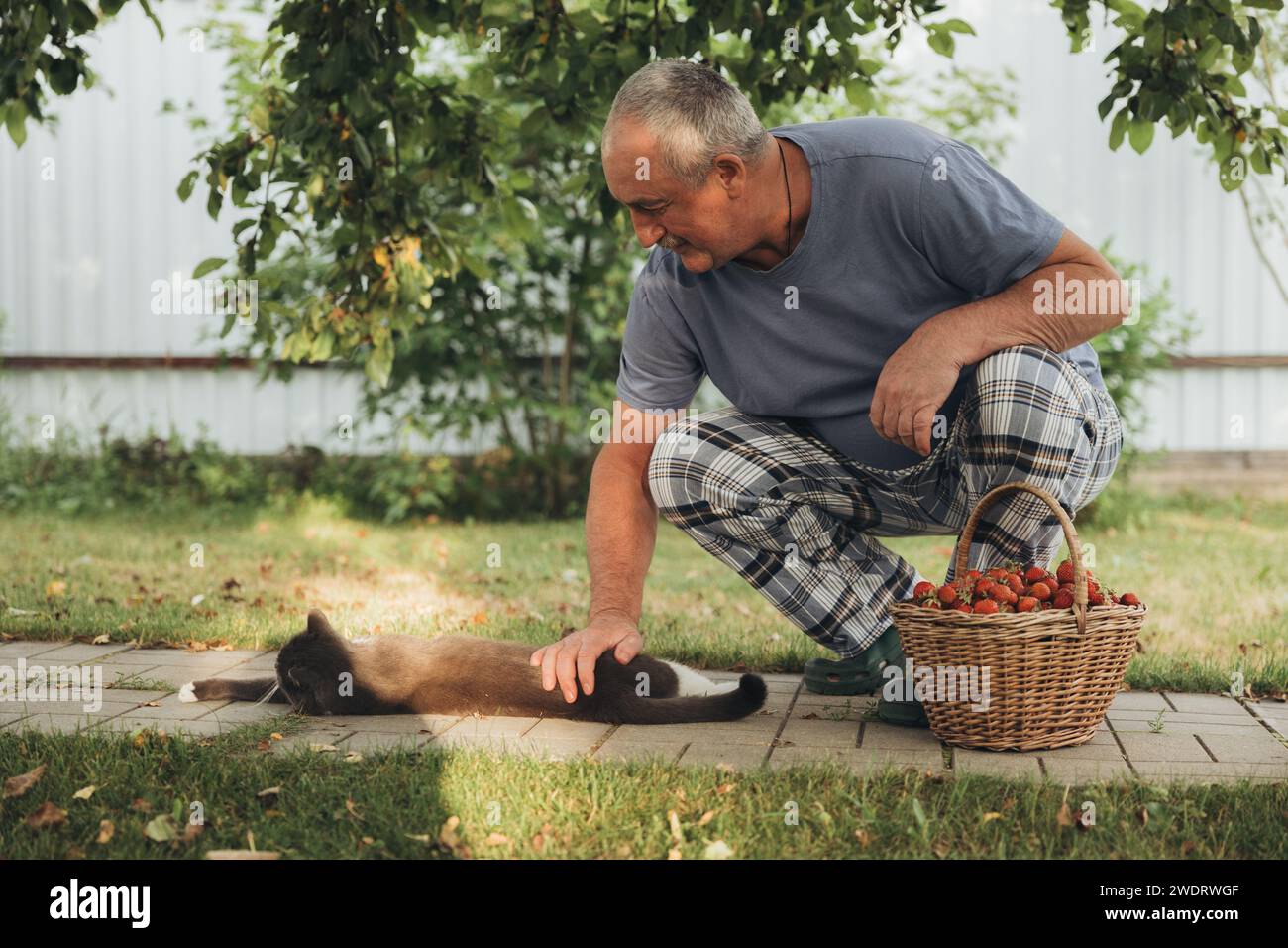 Der Senior-Mann streichelt eine Katze in seinem Garten Stockfoto