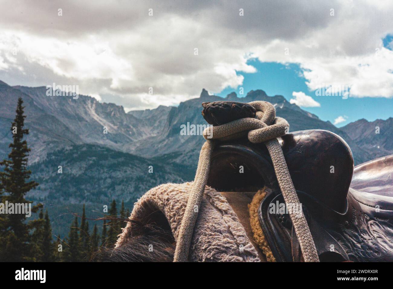 Pferdesattel in den Bergen von Wyoming Stockfoto