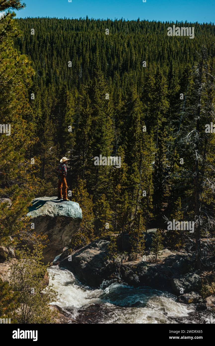 Cowboy, der auf die Wyoming Wilderness blickt Stockfoto