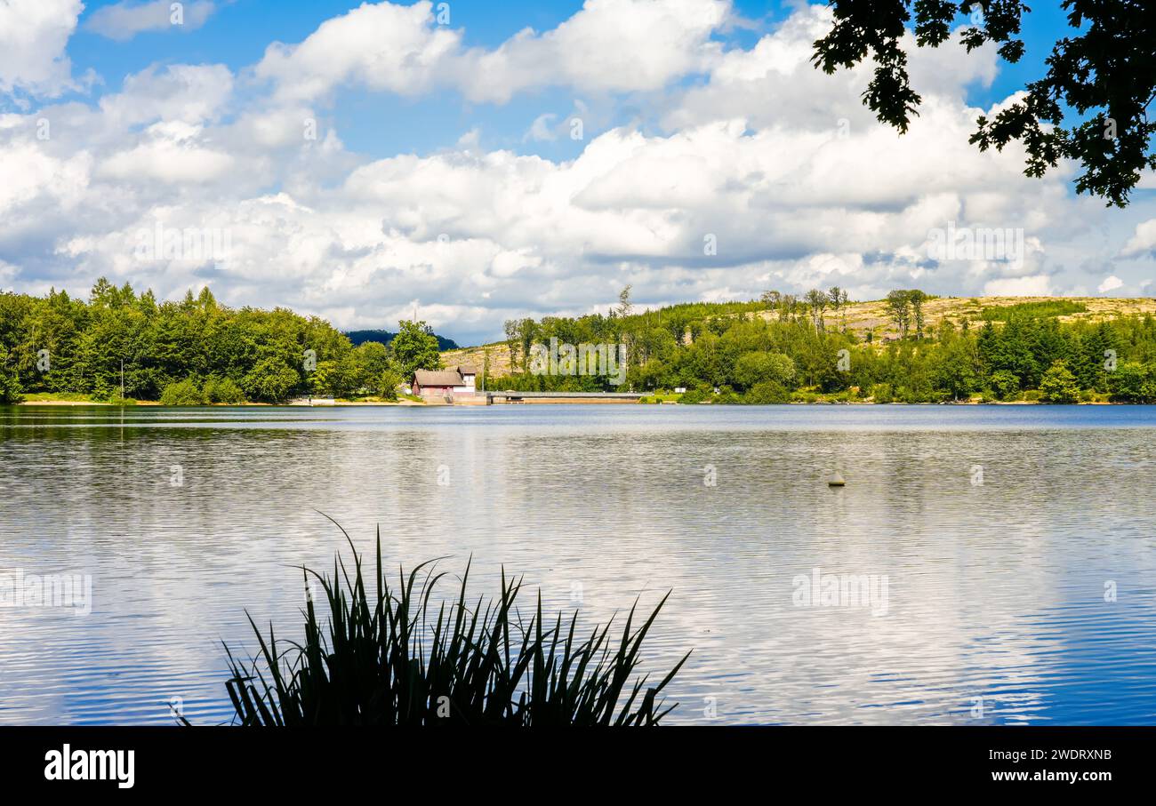 Natur am Brucher Damm bei Marienheide in Nordrhein-Westfalen. Blick auf den See mit der umliegenden Landschaft. Stockfoto