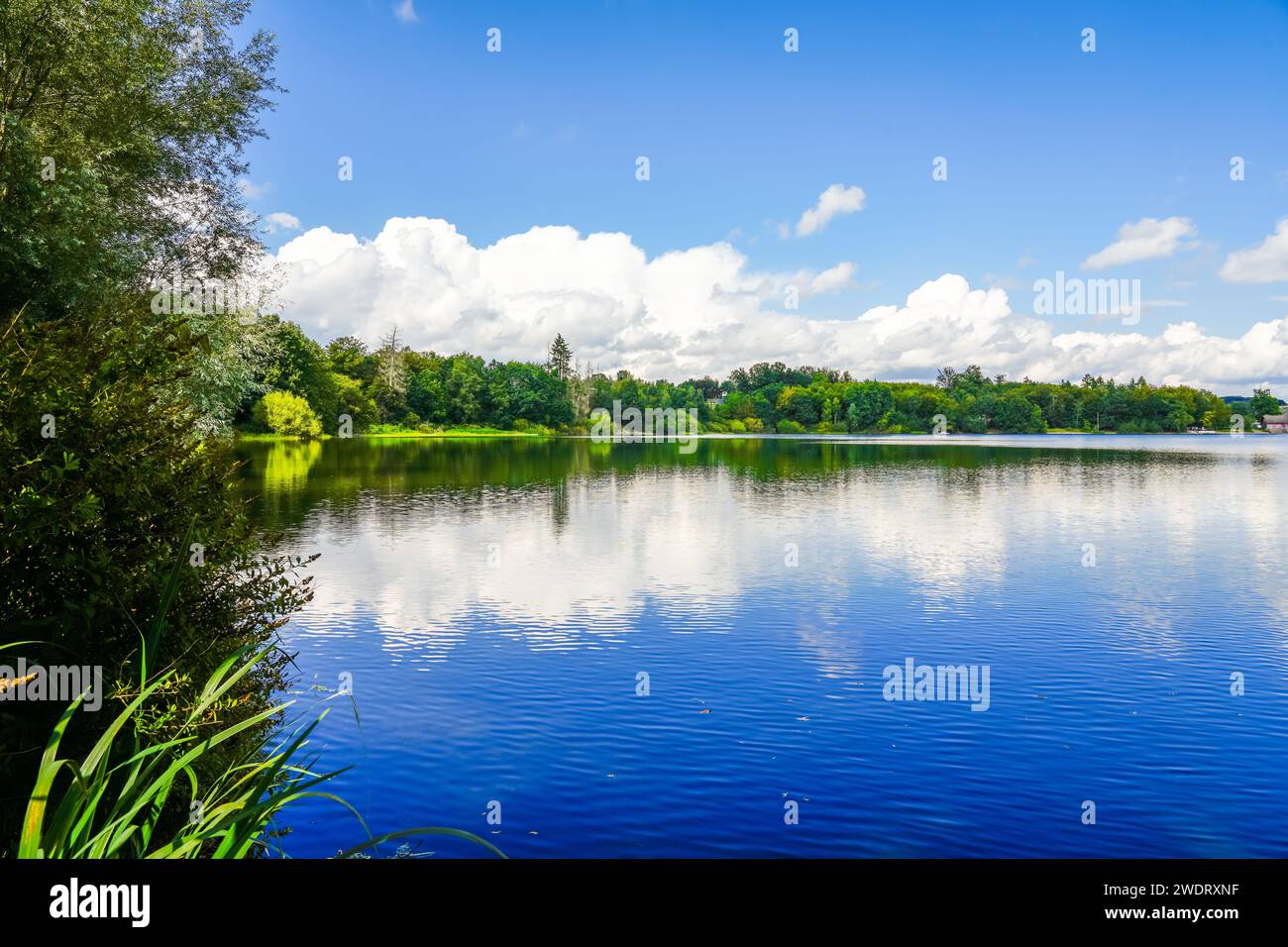 Natur am Brucher Damm bei Marienheide in Nordrhein-Westfalen. Blick auf den See mit der umliegenden Landschaft. Stockfoto