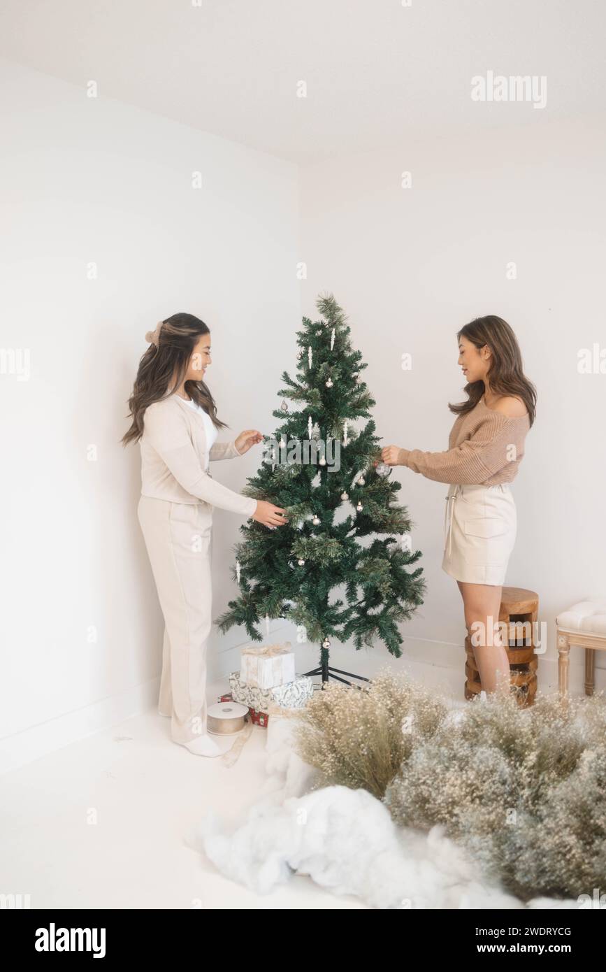 Zwei Freundinnen, die Weihnachten dekorieren Stockfoto