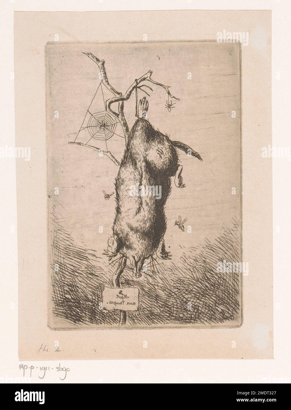 Dead Mol Hang on a Branch, F. Lautenberger, 1864 Druckpapier, das andere Säugetiere ätzt: Maulwurf Stockfoto