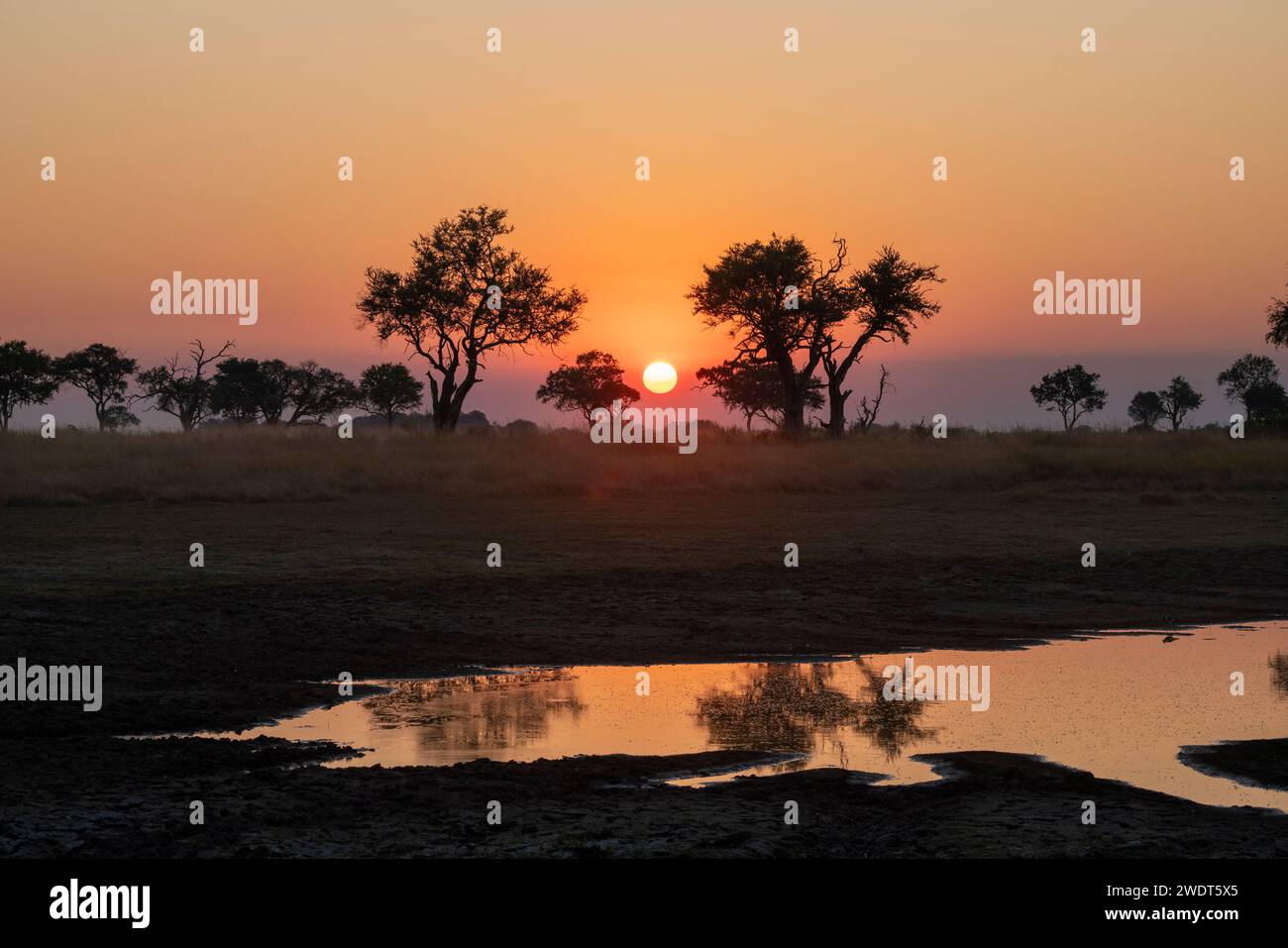 Sonnenuntergang über dem Okavango Delta, Botswana, Afrika Stockfoto