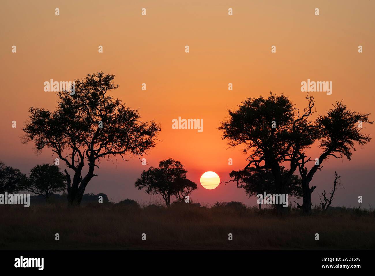 Sonnenuntergang über dem Okavango Delta, Botswana, Afrika Stockfoto