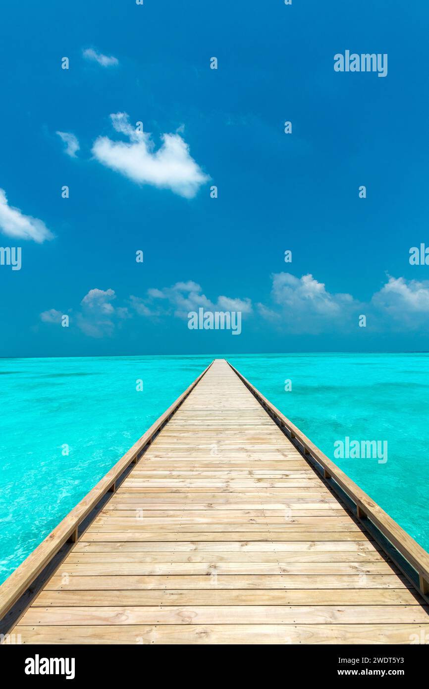 Holzsteg zum tropischen Meer, den Malediven, dem Indischen Ozean, Asien Stockfoto