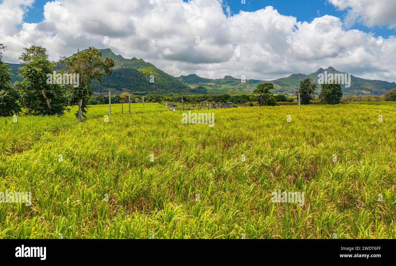 Aus der Vogelperspektive auf Long Mountain und Felder auf Long Mountain, Mauritius, Indischer Ozean, Afrika Stockfoto