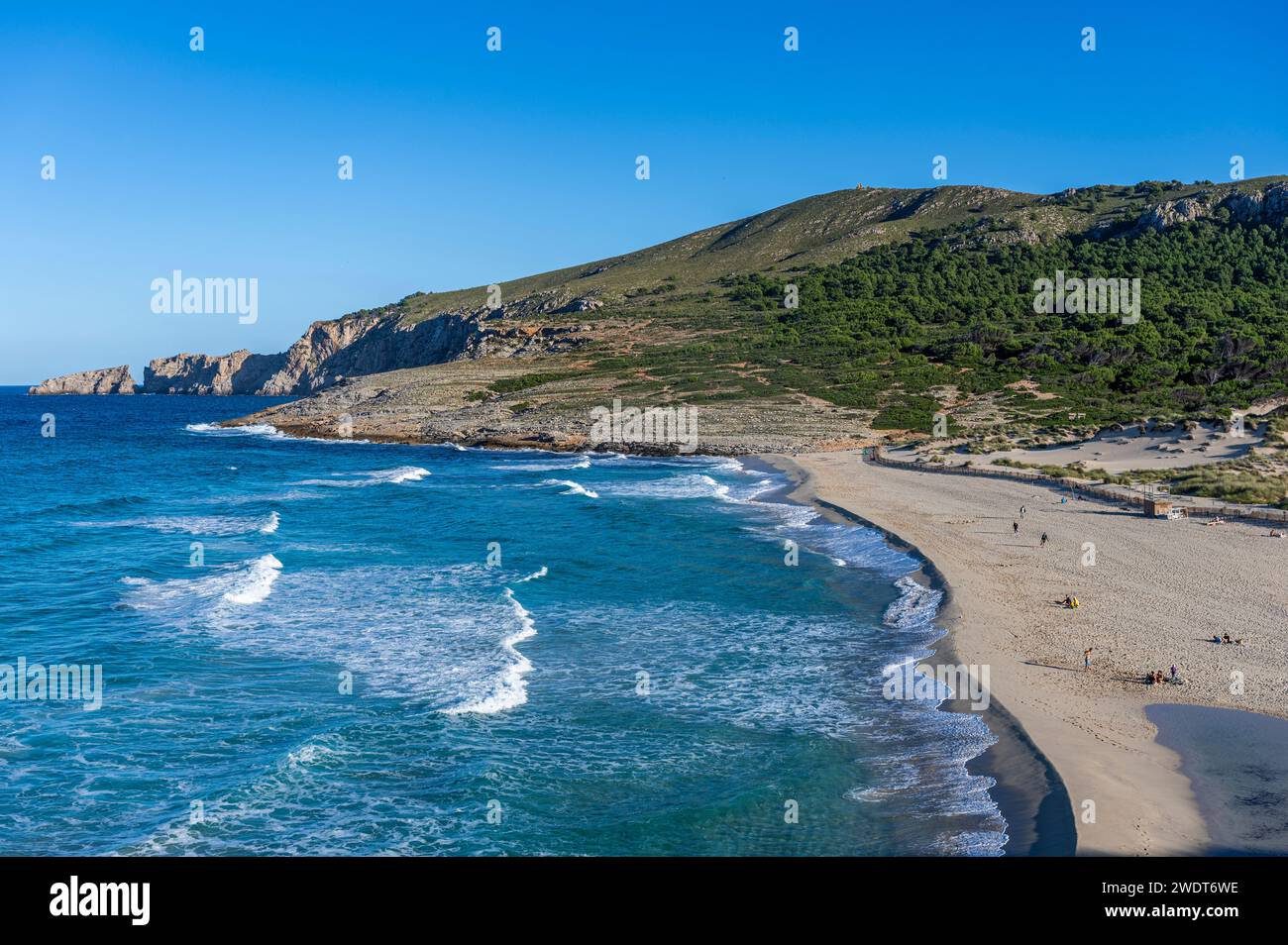 Cala Mesquida Beach, Mallorca, Balearen, Spanien, Mittelmeer, Europa Stockfoto