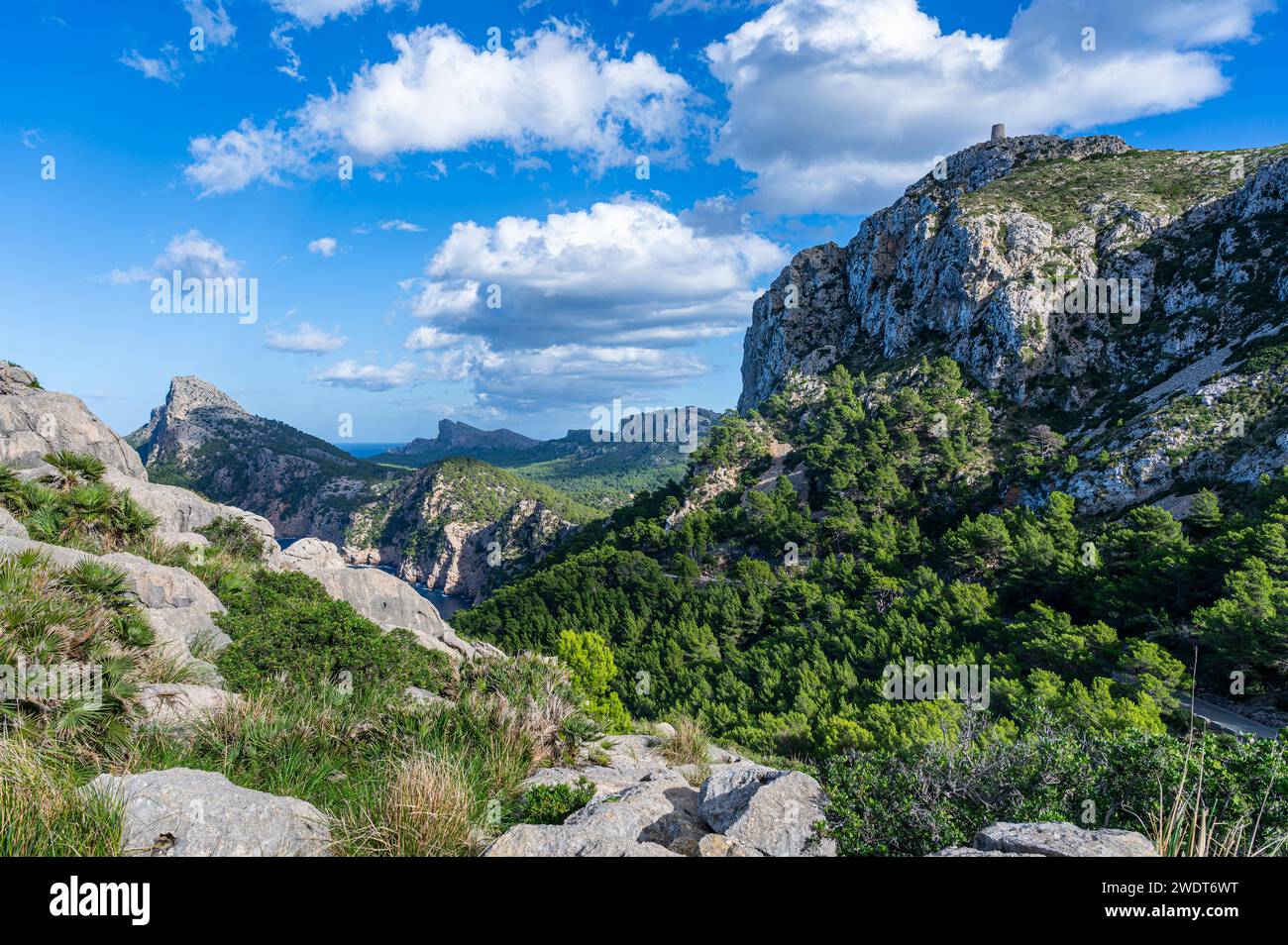 Halbinsel Formentor, Mallorca, Balearen, Spanien, Mittelmeer, Europa Stockfoto