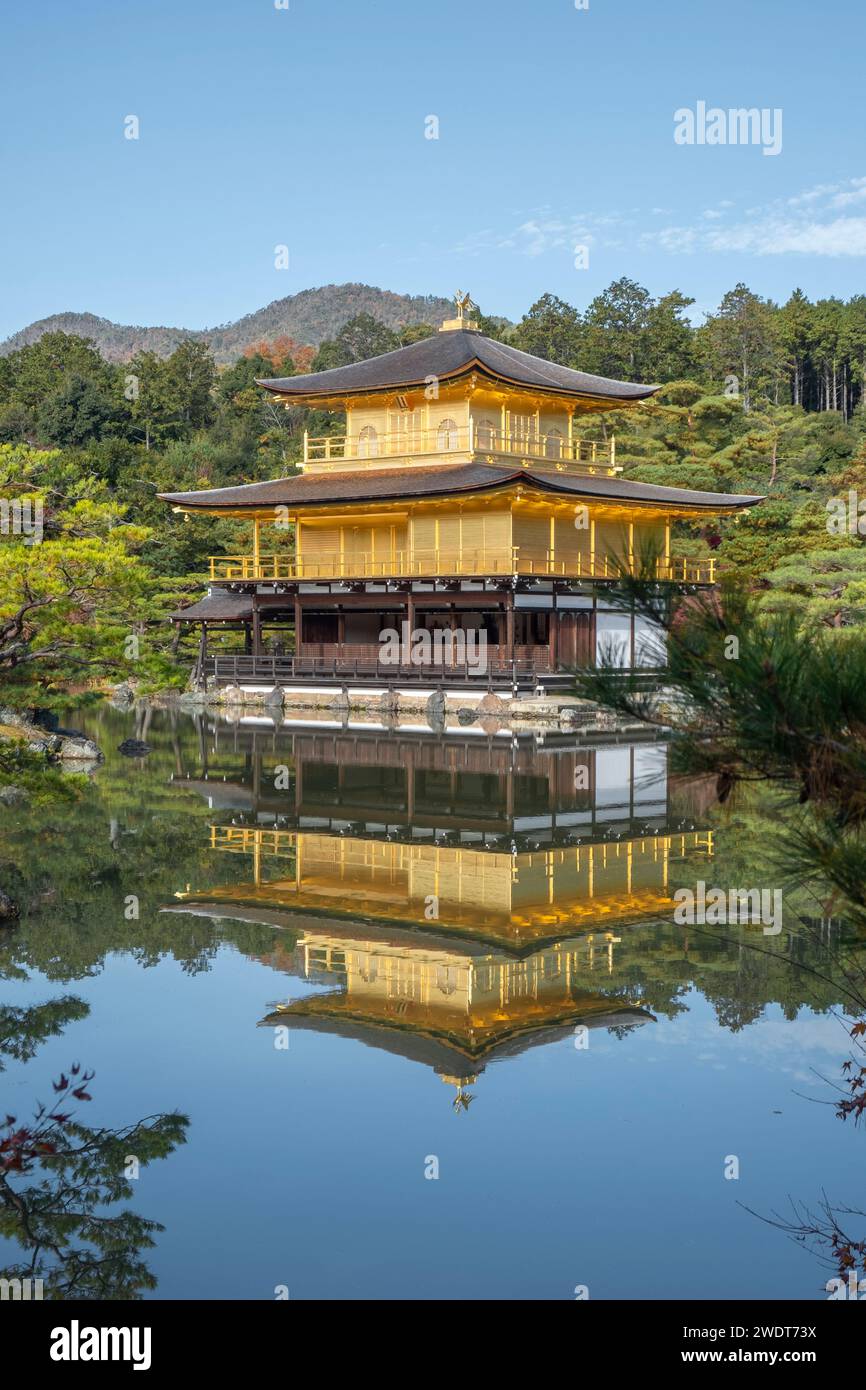 Kinkaku-JI Golden Pavilion Tempel spiegelt sich im Herbst in einem Teich, UNESCO-Weltkulturerbe, Kyoto, Honshu, Japan, Asien Stockfoto