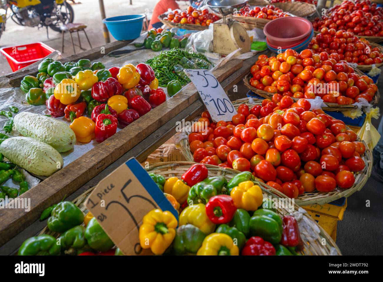 Blick auf den Obststand mit Tomaten und Paprika auf dem Markt in der Nähe von Bushaltestelle, Port Louis, Mauritius, Indischer Ozean, Afrika Stockfoto