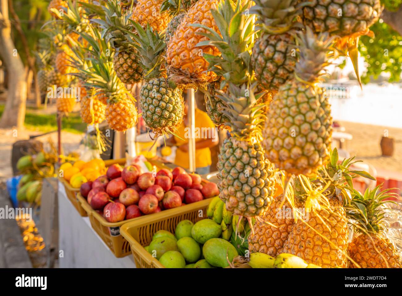 Blick auf Ananas und Äpfel am Obststand in Grand Bay zur goldenen Stunde, Mauritius, Indischer Ozean, Afrika Stockfoto