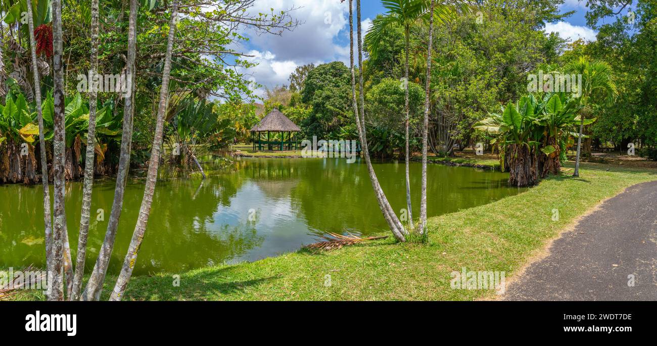 Blick auf den Botanischen Garten Sir Seewoosagur Ramgoolam, Mauritius, Indischen Ozean, Afrika Stockfoto