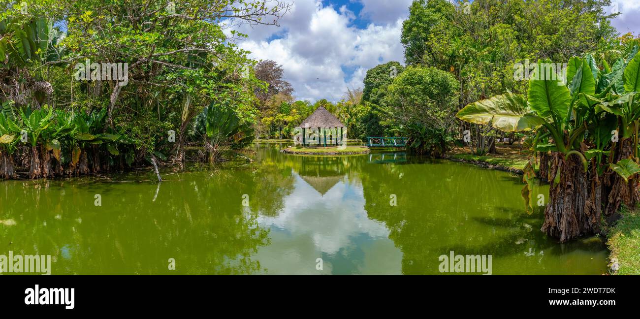 Blick auf den Botanischen Garten Sir Seewoosagur Ramgoolam, Mauritius, Indischen Ozean, Afrika Stockfoto