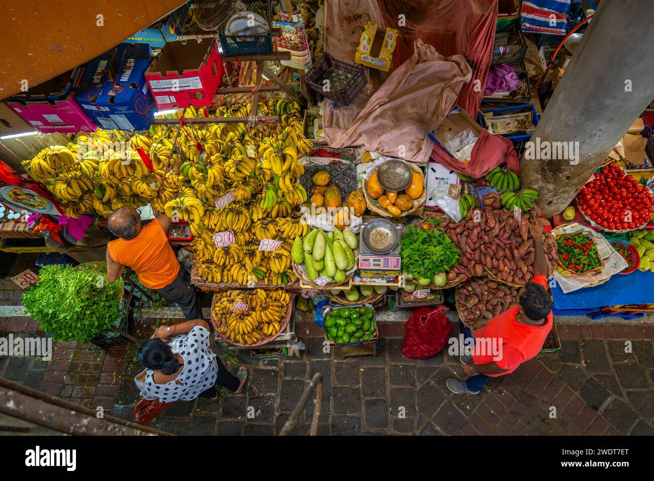 Blick auf Produkte wie Gemüse und Bananen an Marktständen im Central Market in Port Louis, Port Louis, Mauritius, Indischer Ozean, Afrika Stockfoto