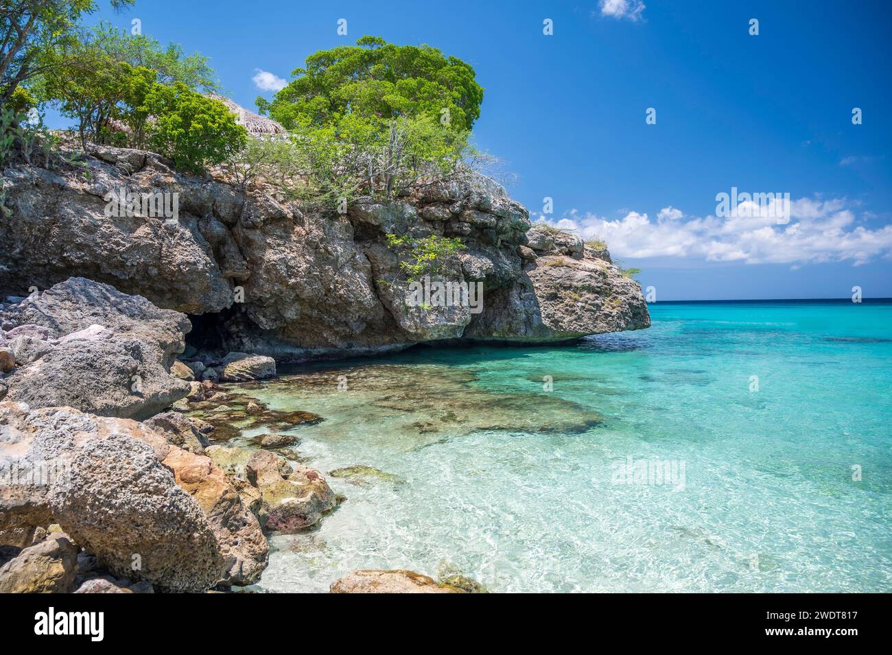 Das kristallklare türkisfarbene Meer am Grote Knip Beach, berühmt für sein blaues Wasser, auf der niederländischen Karibikinsel Curacao, Westindien, Karibik Stockfoto
