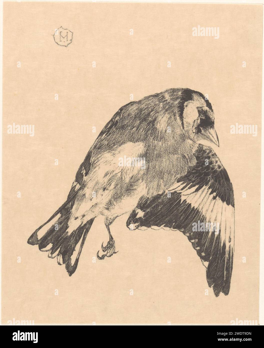 Dood Puttertje, Theo van Hoytema, 1878–1914 Druckpapier Song-Birds: goldfinch. Vögel (+ sterbendes Tier; Tod eines Tieres; totes Tier) Stockfoto