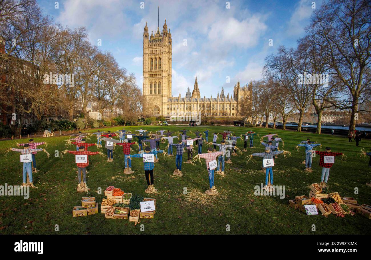 London, UK 22 Jan 2024 Dutzende Vogelscheuchen „protestieren“ heute vor den Parlamentsgebäuden und fordern die Regierung auf, die führenden „Big Six“-Supermärkte - Tesco, Sainsbury's, Asda, Morrisons, Aldi, und Lidl - auf #GetFairAboutFarming. Die 49 Vogelscheuchen, die vor dem Parlament stehen, repräsentieren die 49 % der Obst- und Gemüsebauern, die sagen, dass sie in den nächsten 12 Monaten wahrscheinlich aus dem Geschäft gehen werden. Der „Protest“ geht vor, dass die Abgeordneten heute um 16:30 Uhr im Unterhaus die Kampagne „Get Fair über die Landwirtschaft“ debattieren Stockfoto