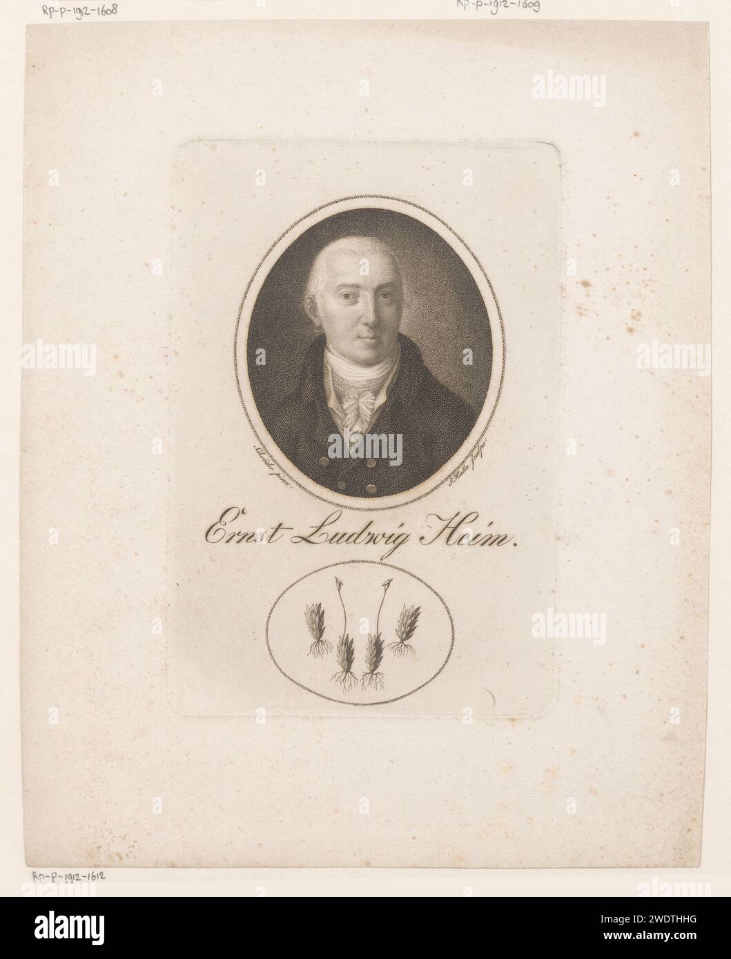 PortraT van Ernst Ludwig Heim, J.S.L. Halle, nach Johann Heinrich Schröder, 1757 - 1834 Druckpapierstich historischer Personen. Arzt, Arzt. Moose Stockfoto