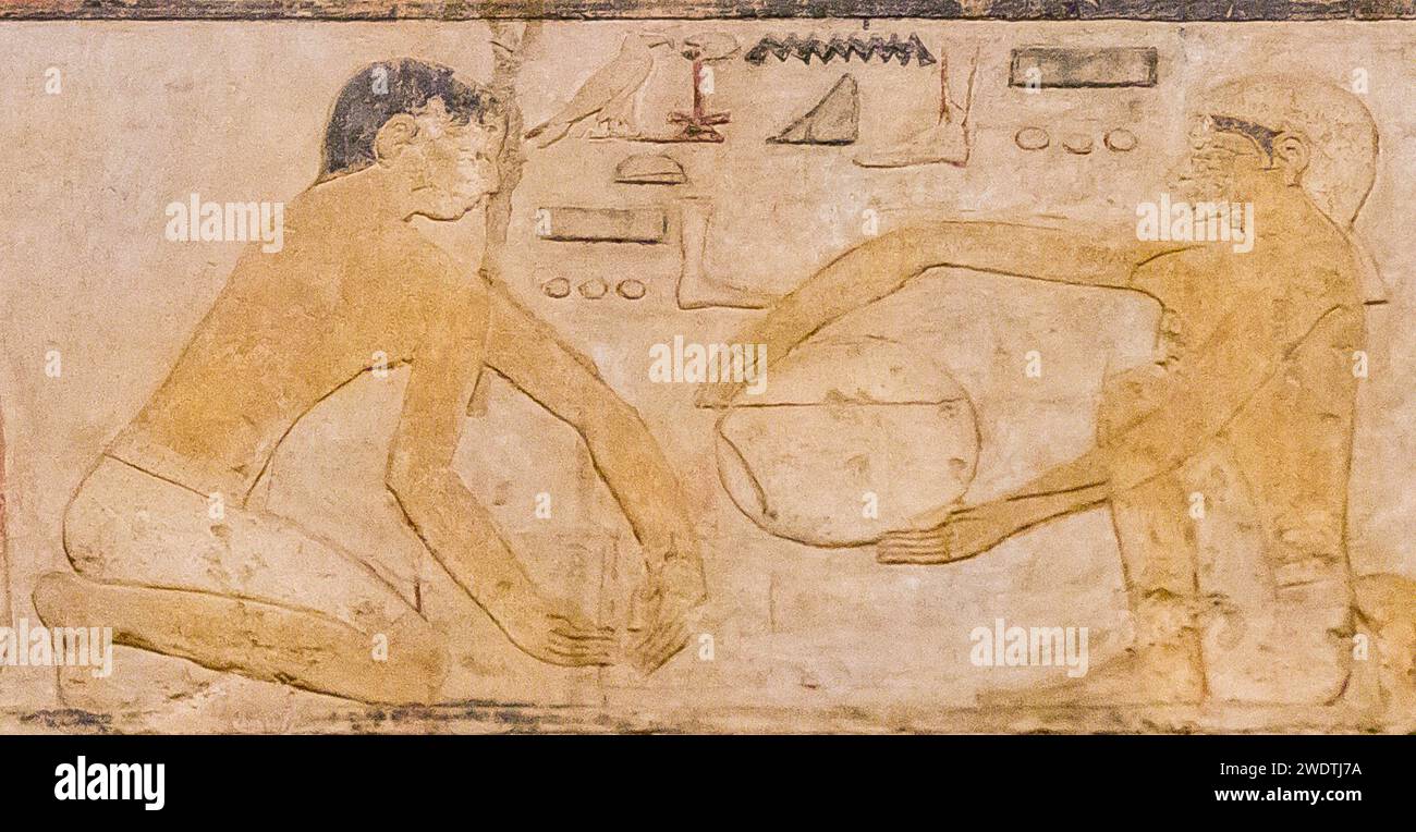 Ägypten, Sakkara, Grab von Ty, Bäckerei Szenen : Mess- und Siebkörner. Stockfoto