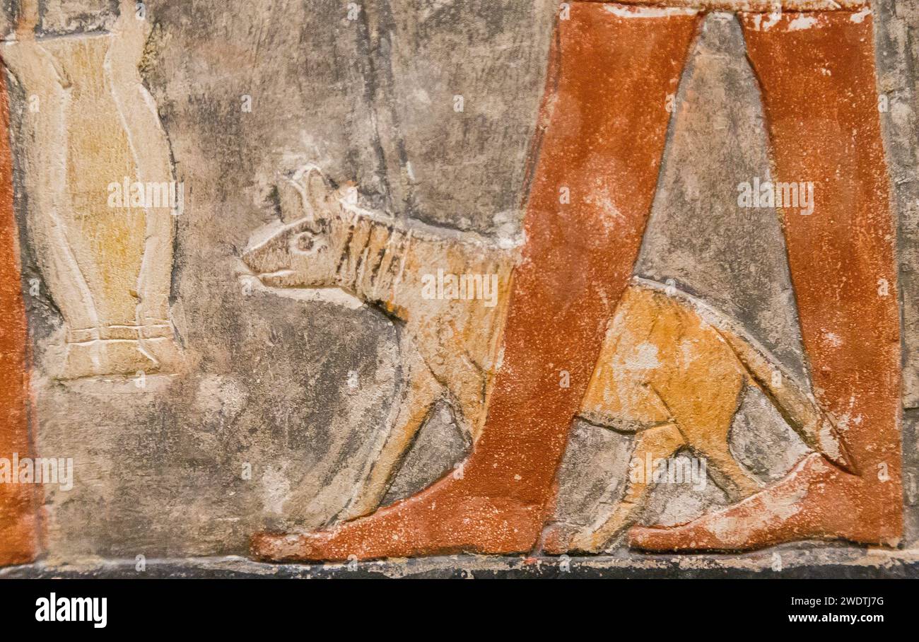 Ägypten, Sakkara, Grab von Mehu, Detail der Opferprozession: Hyena in Leine. Stockfoto