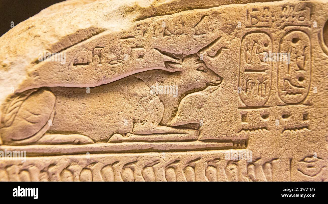 Ägypten, Sakkara, Serapeum, Detail einer APIs-Stierstele. Stockfoto