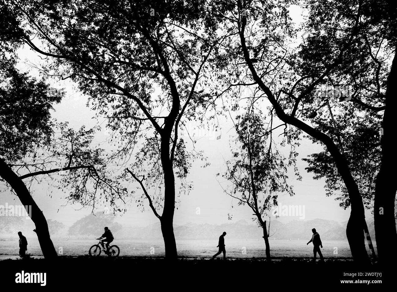 Monochrom Stockfoto