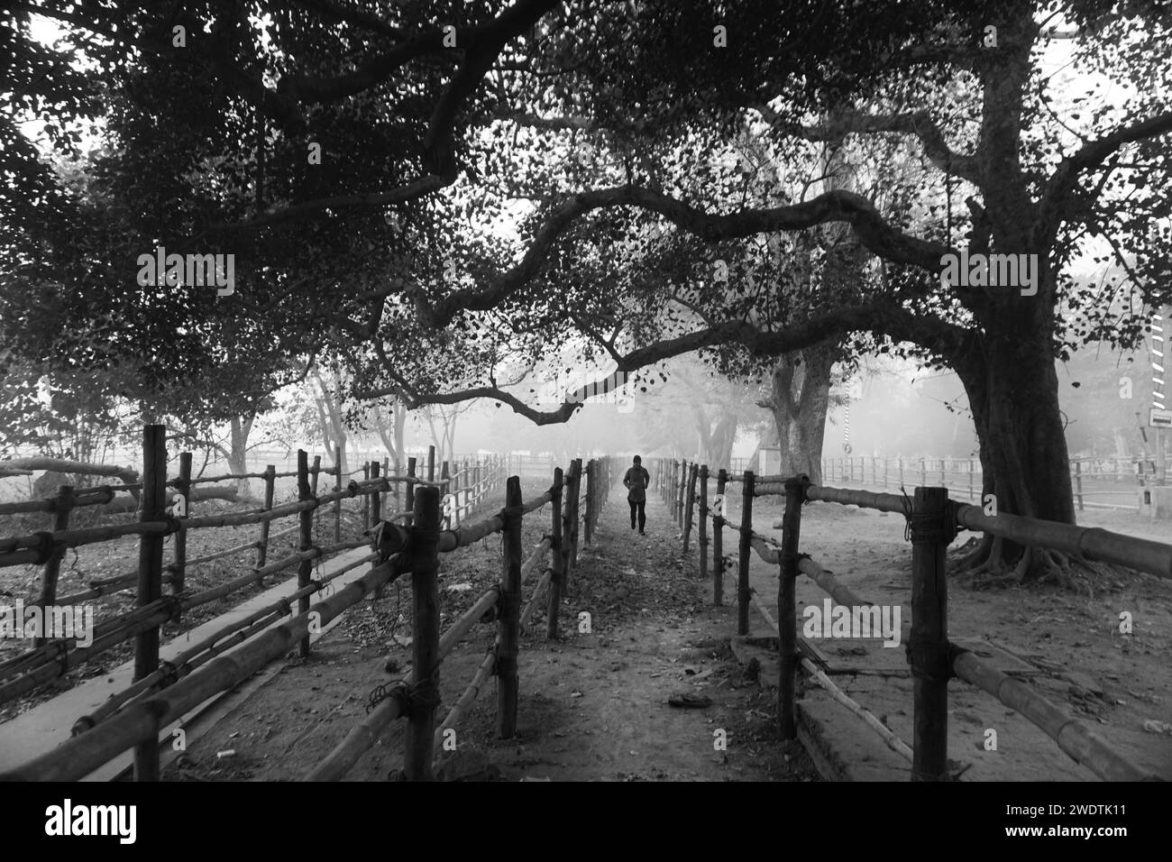 Monochrom Stockfoto