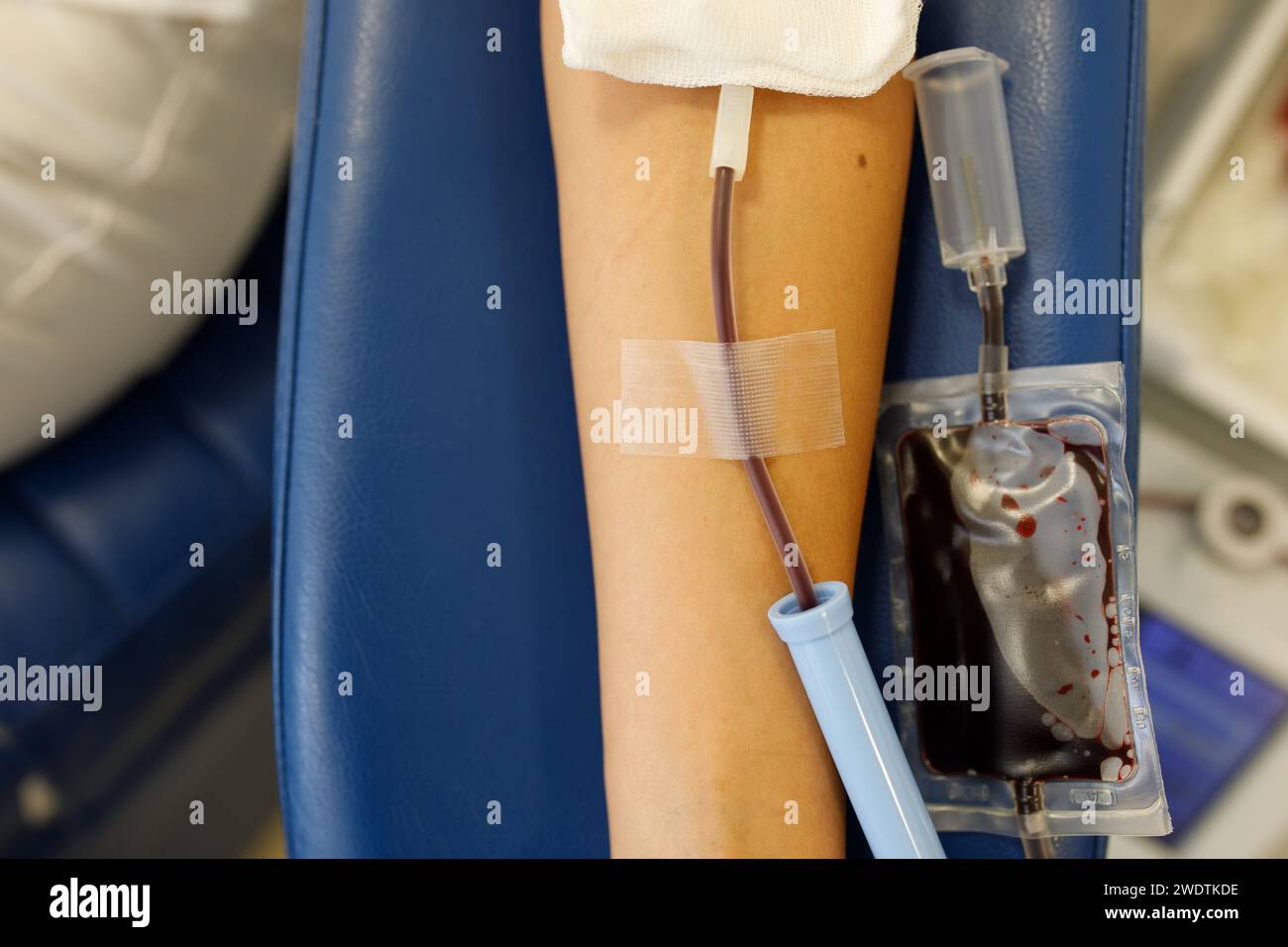 Blutspender, gibt Blut im Labor. Hochwertige Fotos Stockfoto
