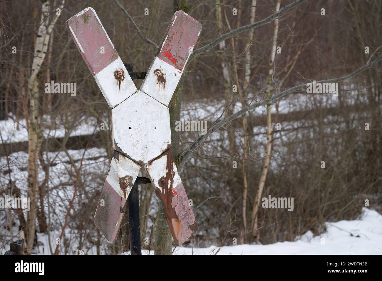 Rodewitz, Deutschland. Januar 2024. Eine verrostete St. Andrewkreuz an einem Bahnübergang auf der stillgelegten Bahnstrecke Bautzen–Bad Schandau. Die zugführergewerkschaft GDL hat einen sechstägigen Streik bei der Deutschen Bahn ausgerufen. Der Streik soll am 24.01.2024 um 2,00 Uhr beginnen. Quelle: Sebastian Kahnert/dpa/Alamy Live News Stockfoto