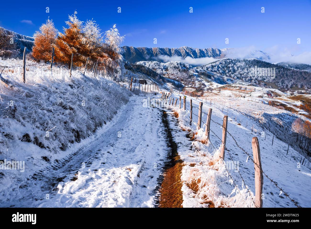 Karpaten, Rumänien. Bezaubernde Winterlandschaft mit ländlicher touristischer Region Rucar-Bran, Dorf Sirnea und Piatra Craiului. Stockfoto