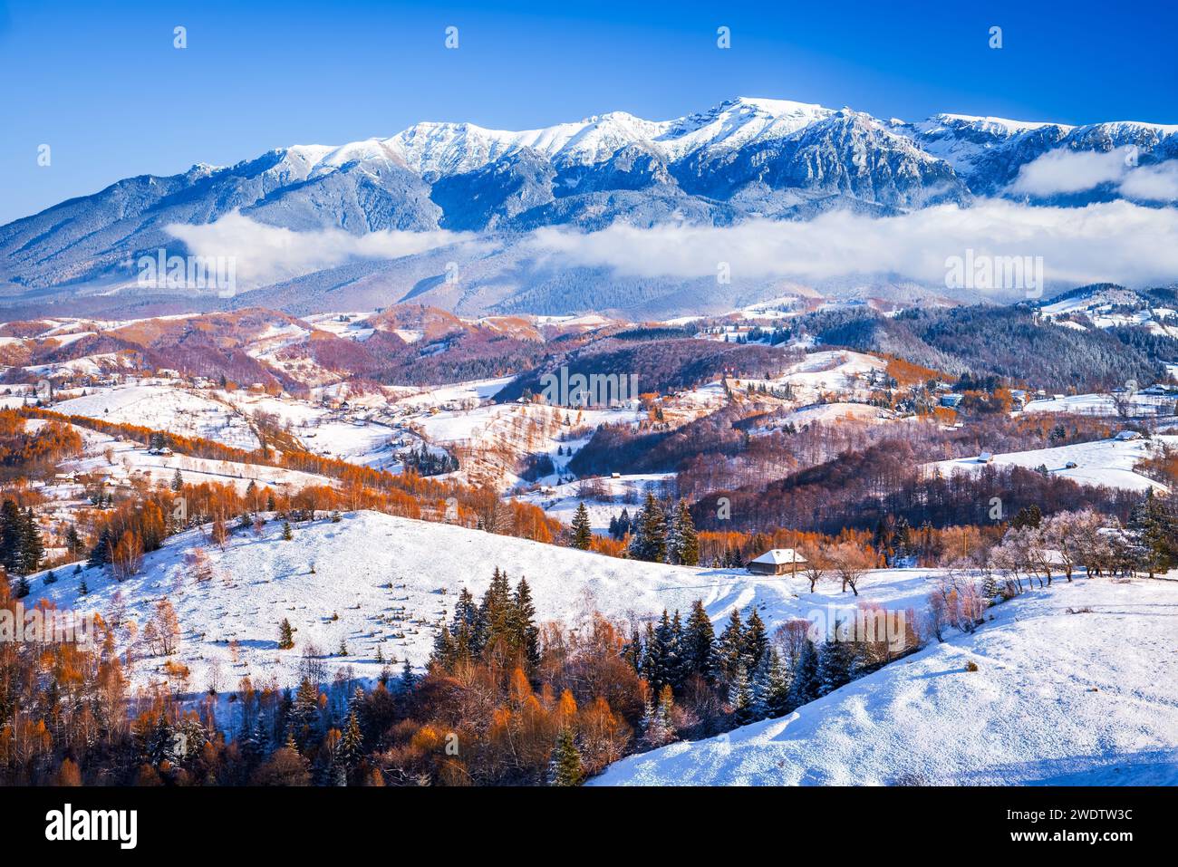 Karpaten, Rumänien. Glänzende Winterlandschaft mit schneebedeckter Landschaft mit malerischer touristischer Region Rucar-Bran, Bucegi Mountains in Transsilvanien. Stockfoto