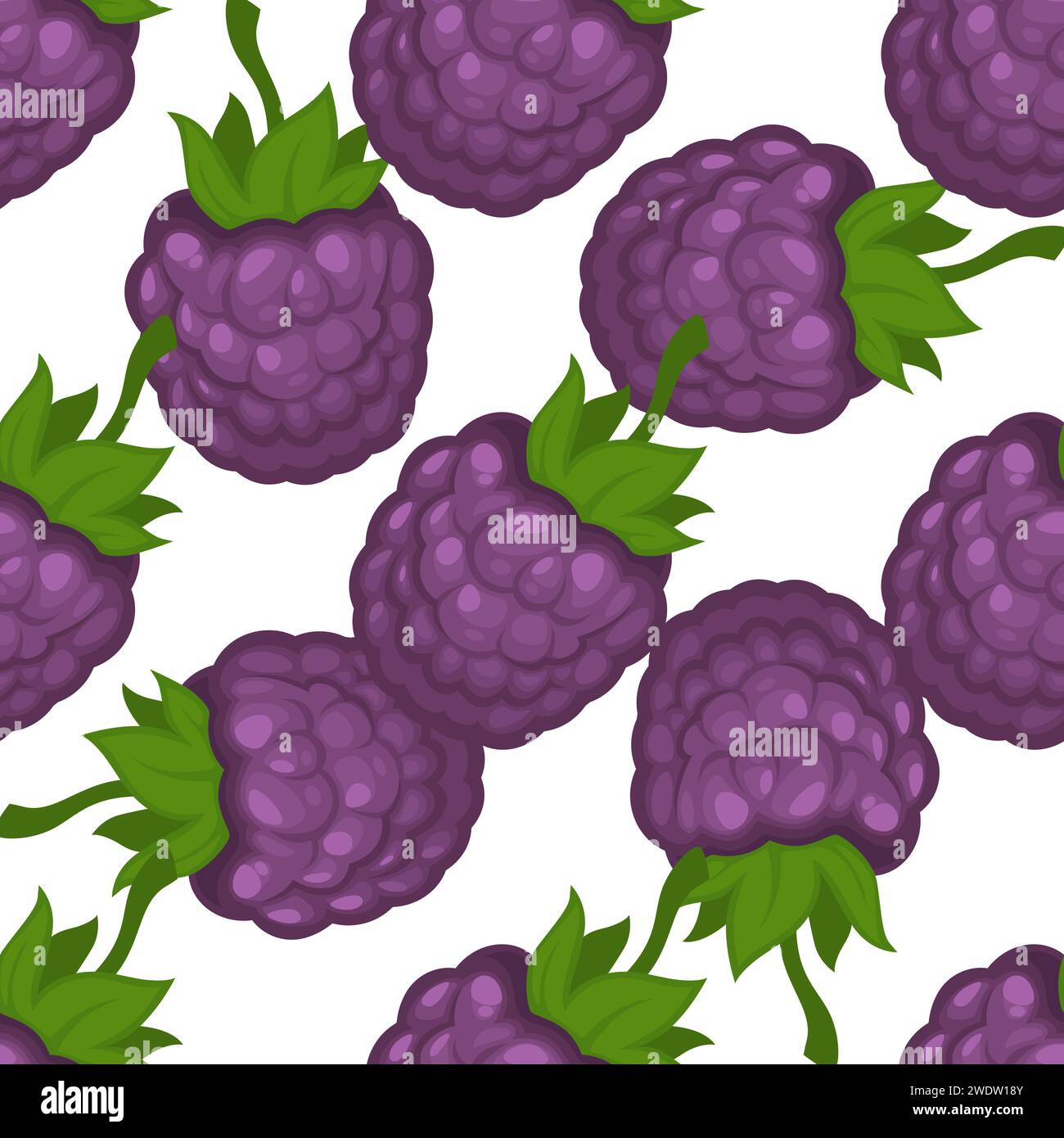 Vector Blackberry nahtloses Muster mit Stock Vektor