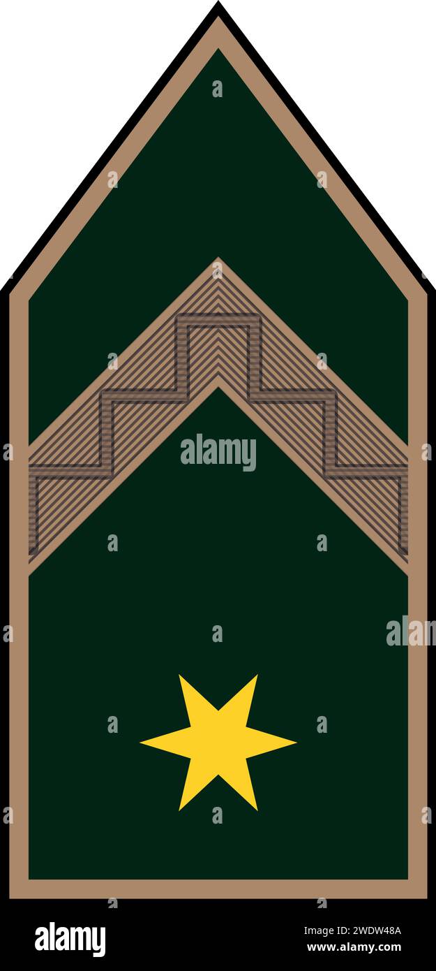 Schulterpolster Militäroffizierabzeichen der Ungarn ZÁSZLÓS (HAFTBEFEHL) Stock Vektor