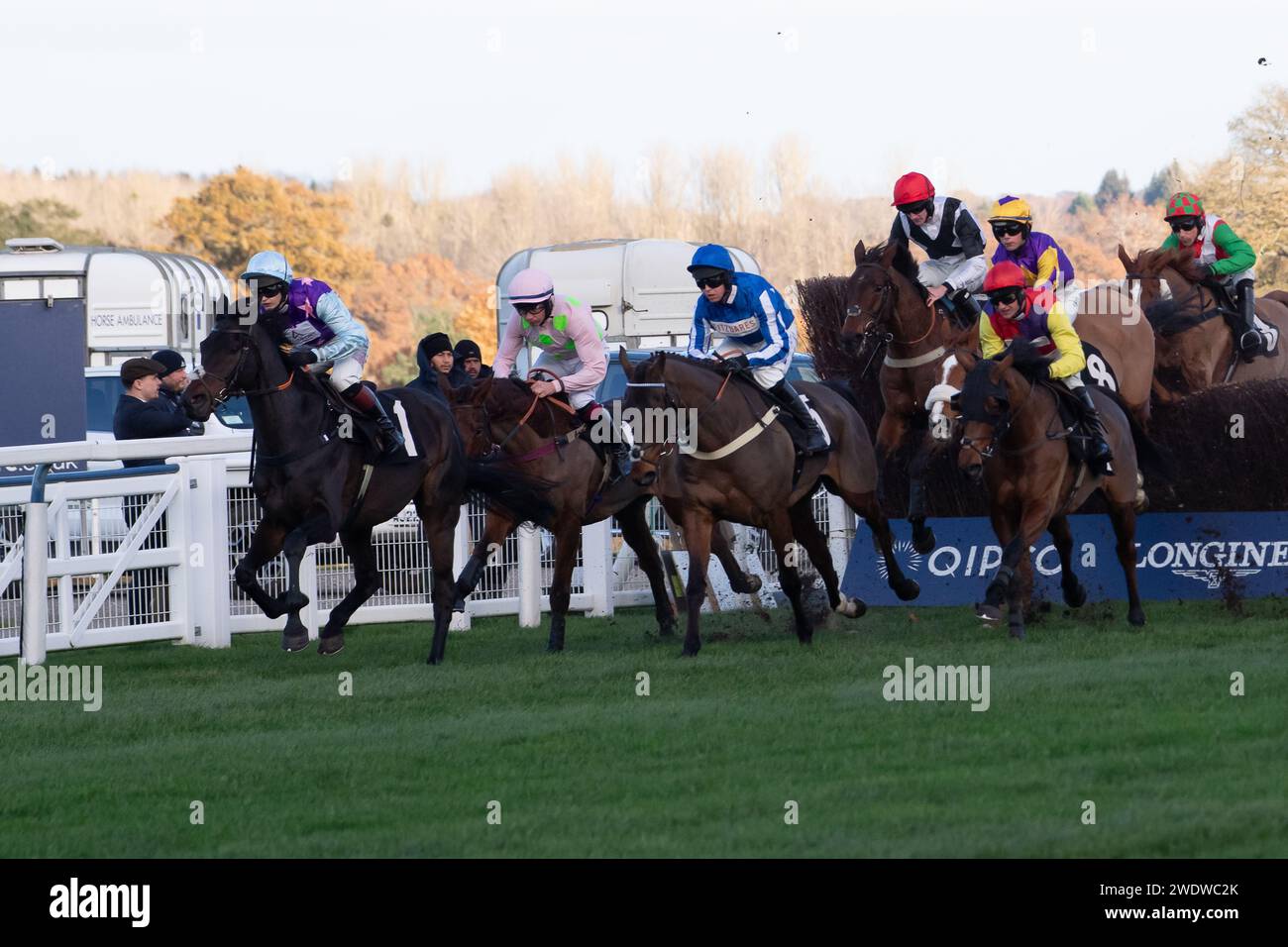 Ascot, Berkshire, Großbritannien. November 2023. Fahrer in der S.A.F.E. Handicap Tureple Chase auf der Ascot Racecourse beim November Racing Friday Meeting. Kredit: Maureen McLean/Alamy Stockfoto