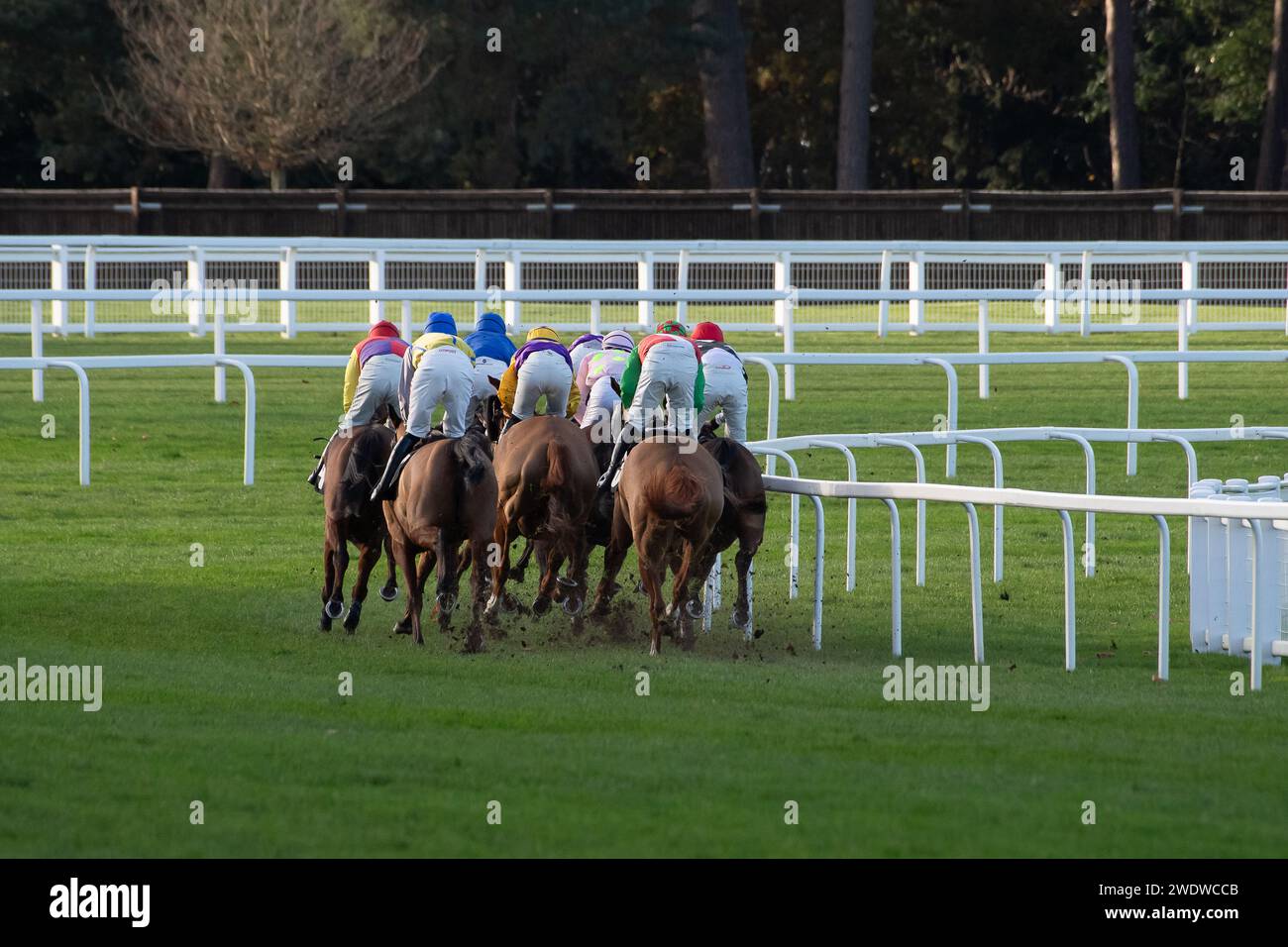 Ascot, Berkshire, Großbritannien. November 2023. Fahrer in der S.A.F.E. Handicap Tureple Chase auf der Ascot Racecourse beim November Racing Friday Meeting. Kredit: Maureen McLean/Alamy Stockfoto