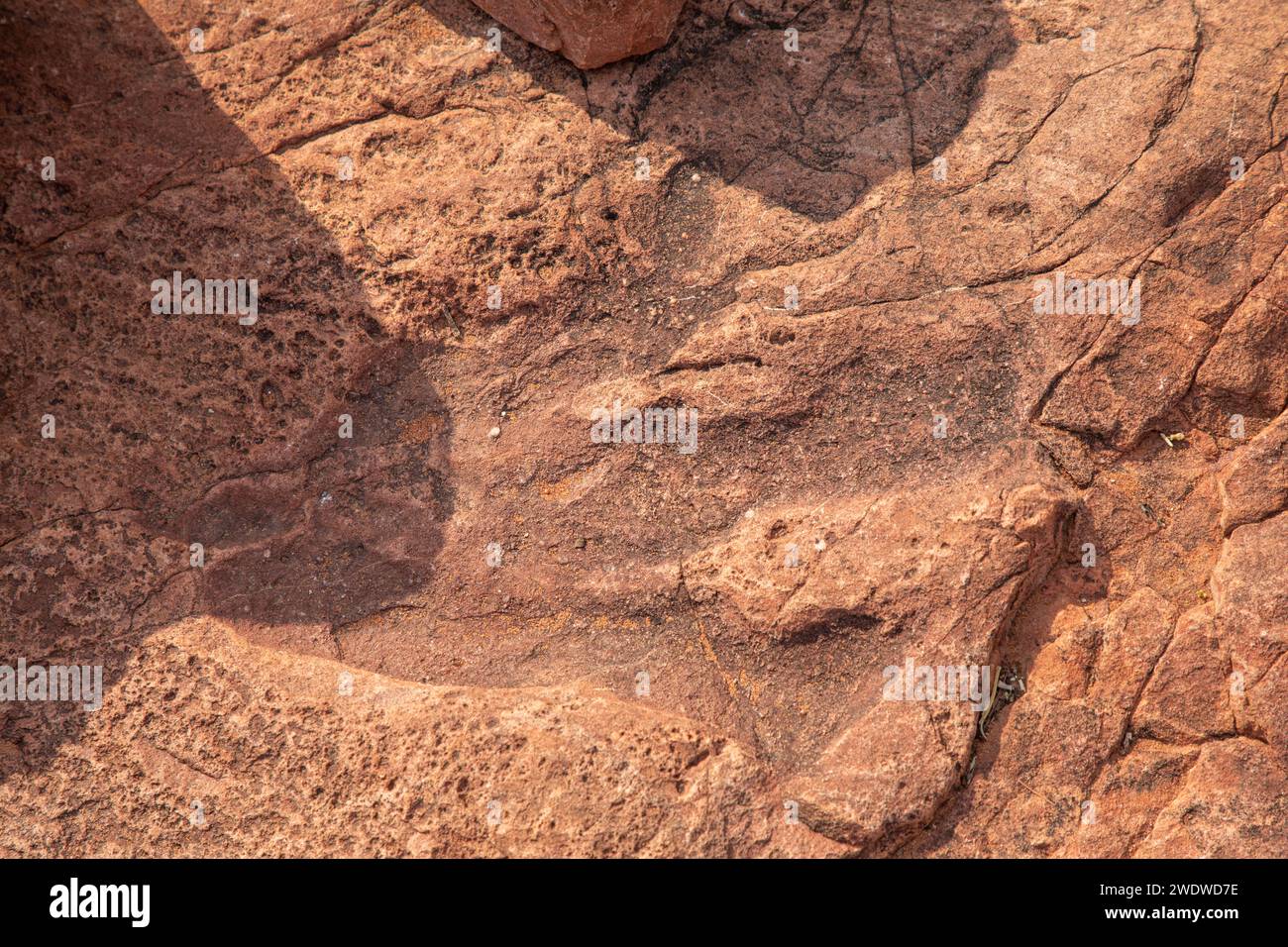 Ein erhaltener Dinosaurierfußabdruck, der vor etwa 200 Millionen Jahren stammt, ist deutlich im Stein auf dem Mount Etjo in Zentral-Namibia zu sehen. Stockfoto