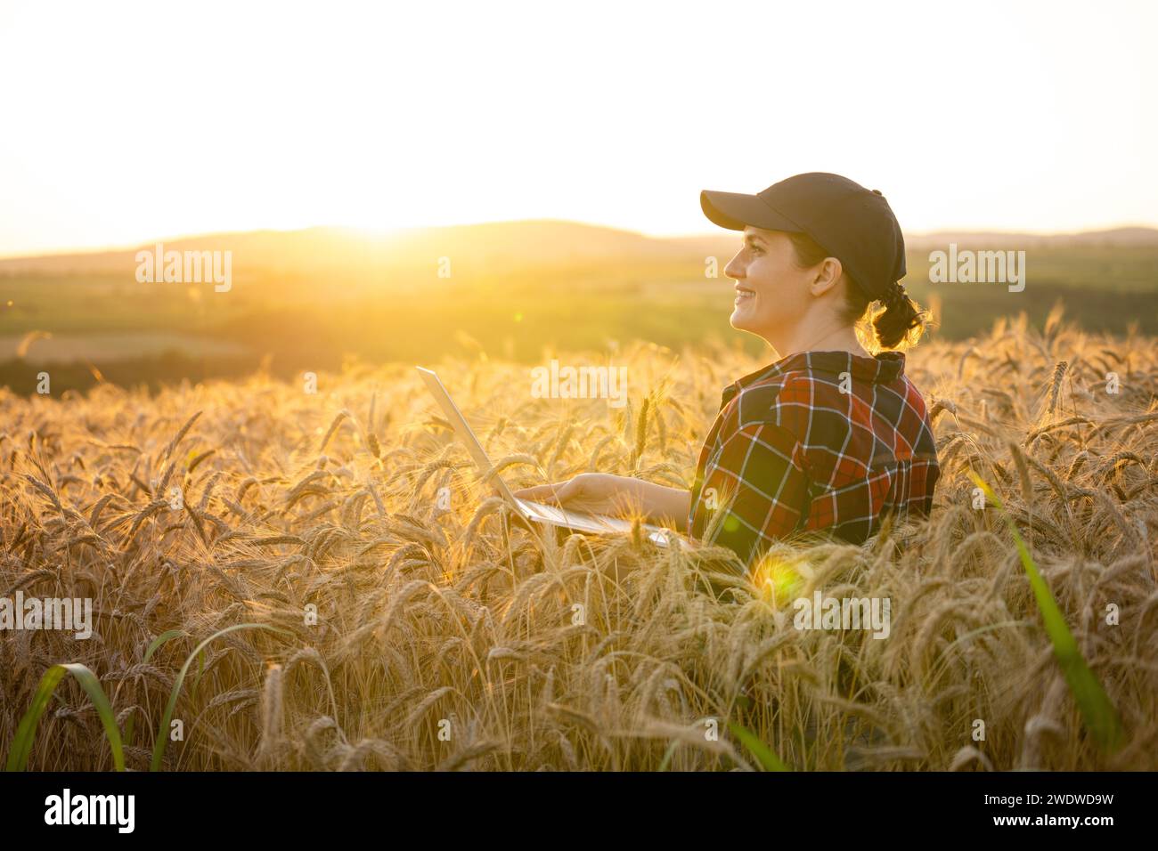 Eine Farmerin, die mit einem Laptop auf einem Weizenfeld arbeitet. Intelligente Landwirtschaft und digitale Landwirtschaft. Stockfoto