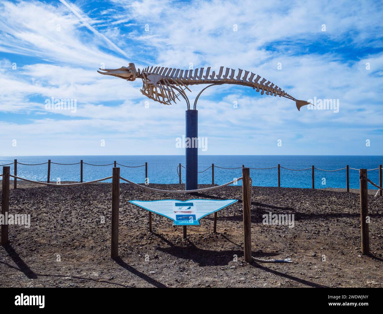 Skulptur eines Walskeletts mit informativen Informationen im Dorf El Cotillo mit Aussichtspunkt mit Blick auf die Küste von Fuerteventura und die ATL Stockfoto