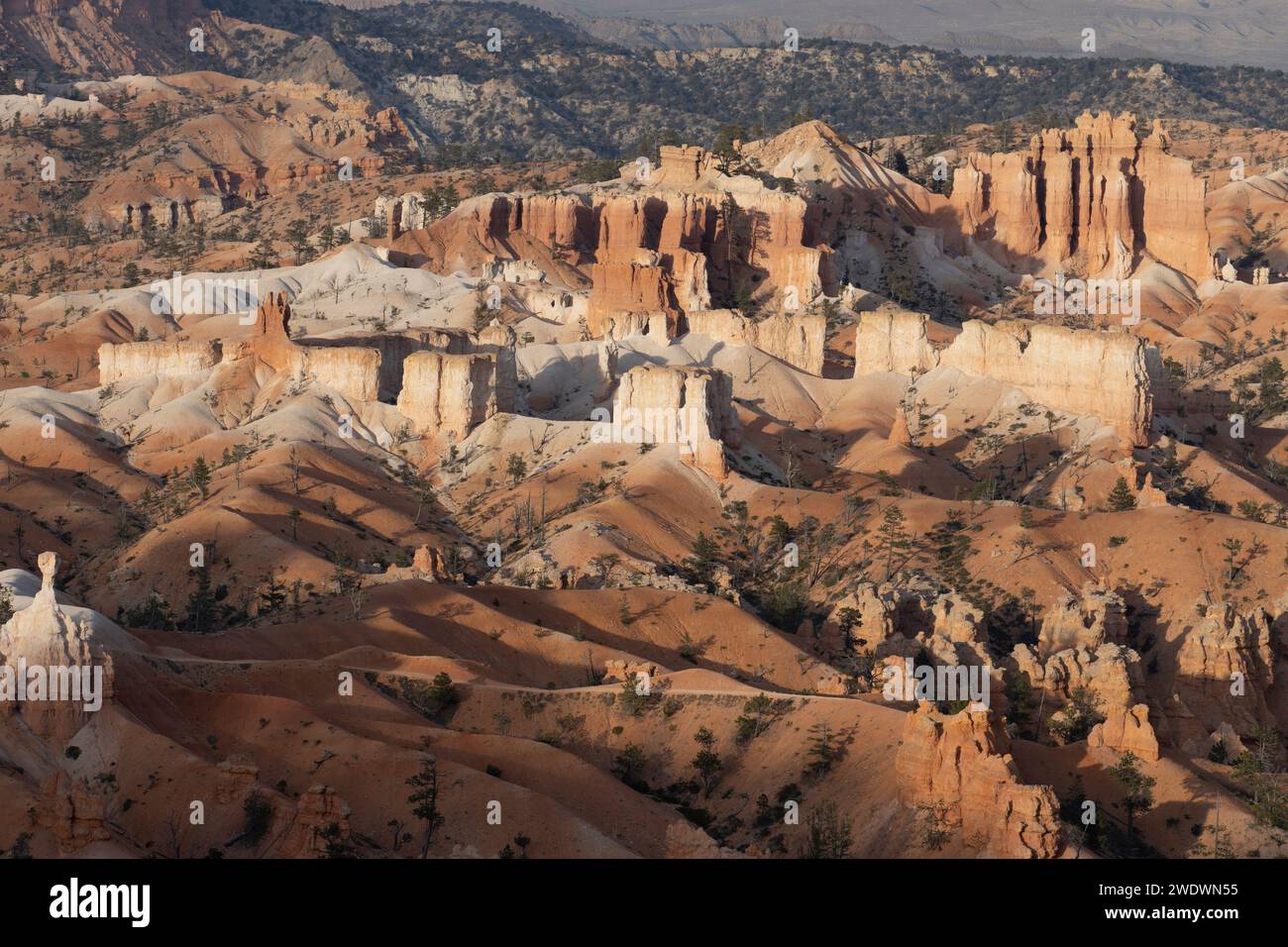 Rote und gelbe Felsen und hügelige Landschaft liegen im Abendlicht. Licht und Schatten. Stockfoto