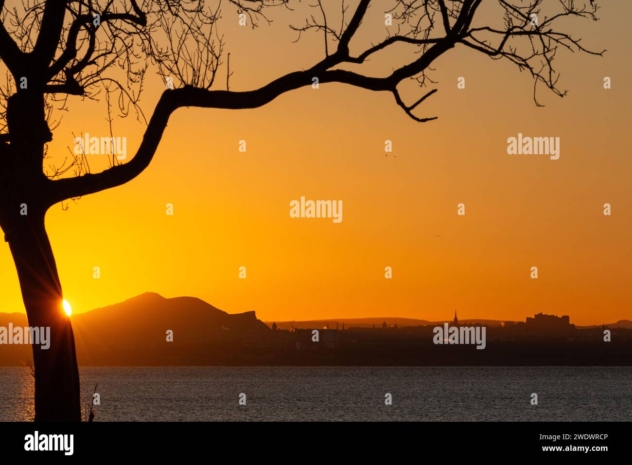 Ein wunderschöner Sonnenaufgang mit einem einzigen Baum, im Hintergrund sitzen Edinburgh und Arthurs Stockfoto