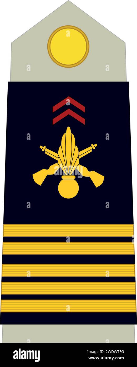 Schulterpolster Militäroffizier-Insignien des französischen COLONEL Stock Vektor