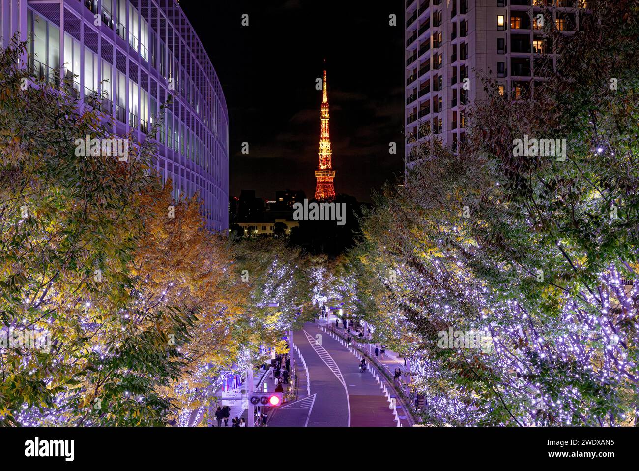 TOKIO/JAPAN - 21. November 2023: weihnachtsbeleuchtung und Blick auf den tokioter Turm im roppongi-Viertel Stockfoto