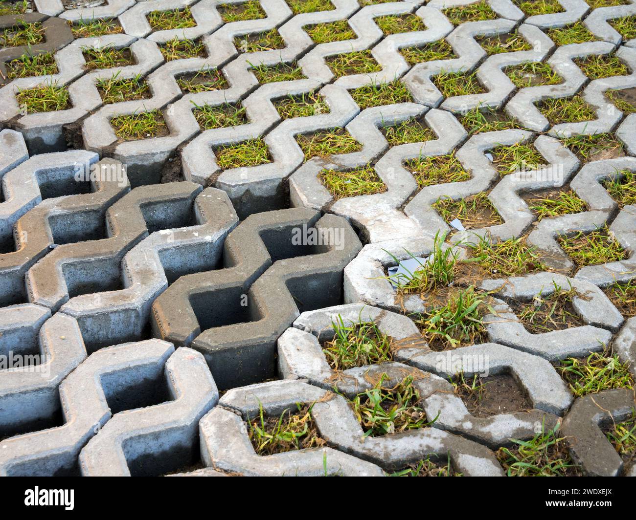 Betonrasengitter mit Zellen für Grasbewuchs Stockfoto