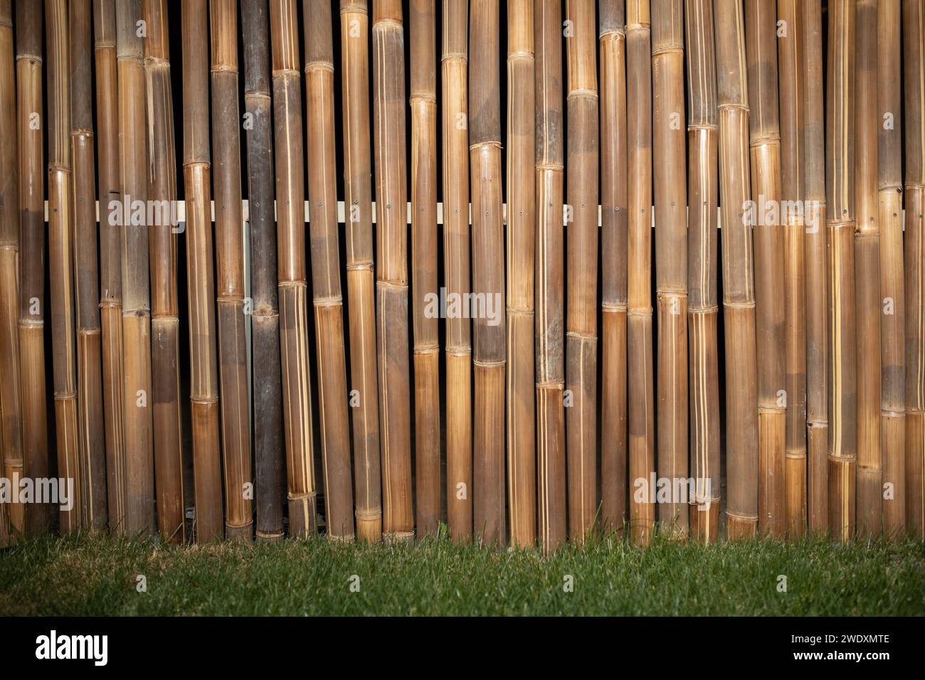 Bambuszaun Hintergrund Stock Gras. Hochwertige Fotos Stockfoto