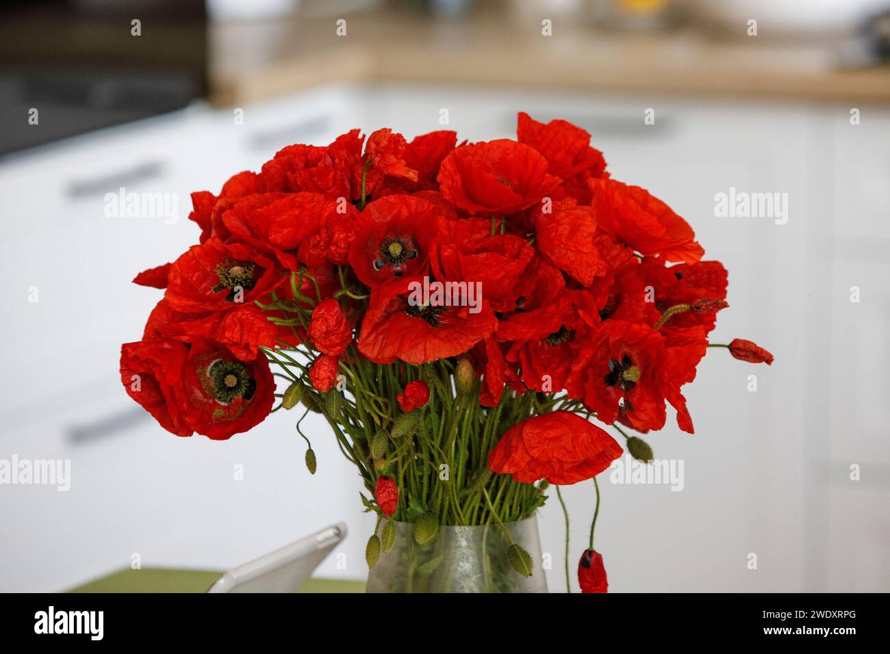 Rote Mohnblumen in einer Vase auf dem Tisch Stockfoto