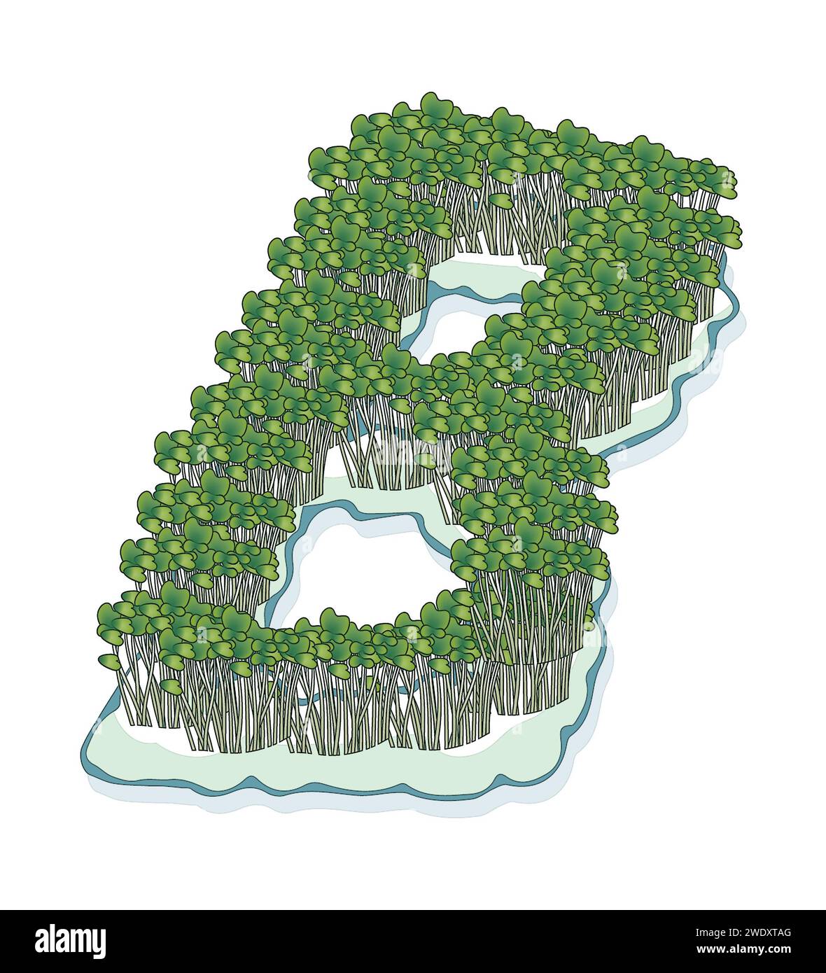 Kunstillustration, Brunnenkresse auf Baumwollwolle, in Form eines Buchstabens B, pädagogische Aktivitäten für Kinder, Gartenarbeit, Vorschulwissenschaft Stockfoto