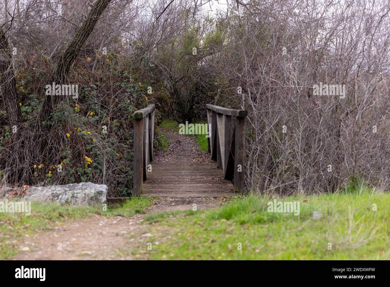 Mormon Island Wetlands, El Dorado Hills, CA Stockfoto