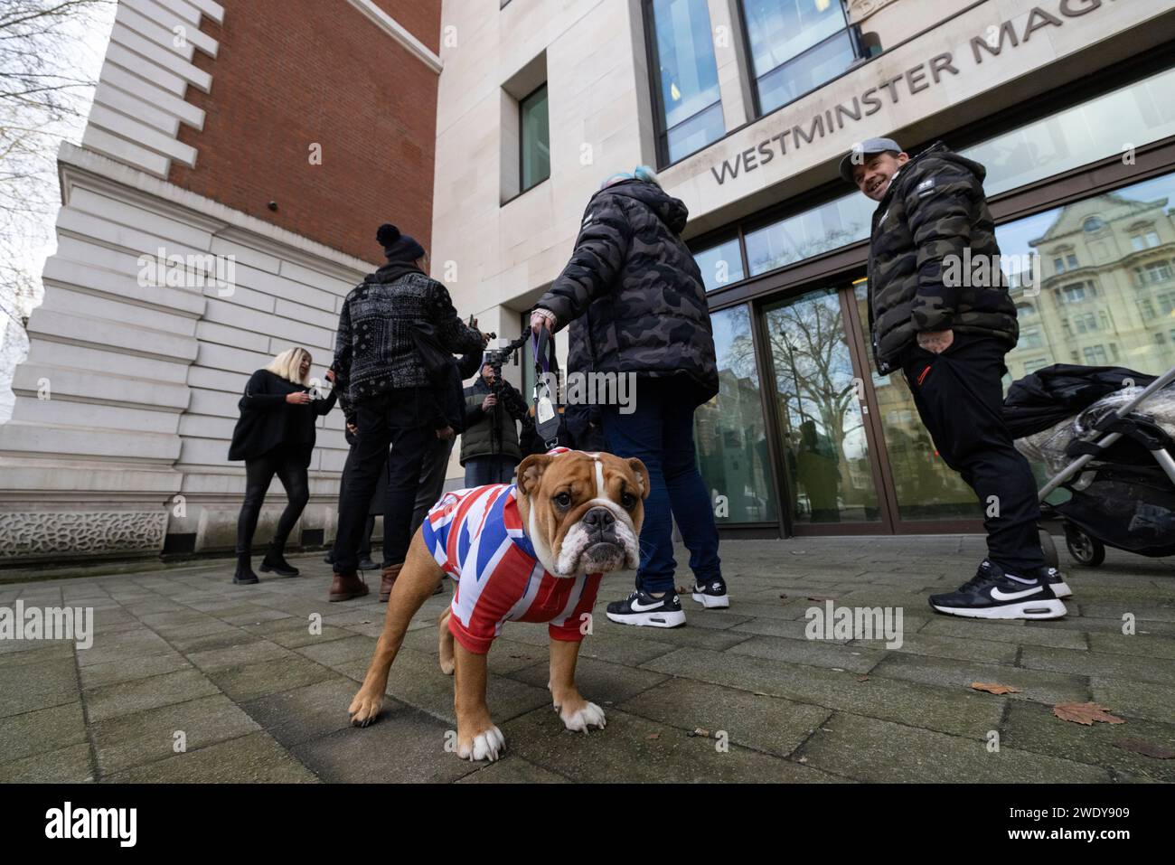 Tommy Robinson-Fans warten vor dem Gericht der Westminster Magistrates mit ihrem britischen Bulldog auf den englischen Verteidigungsführer in London Stockfoto