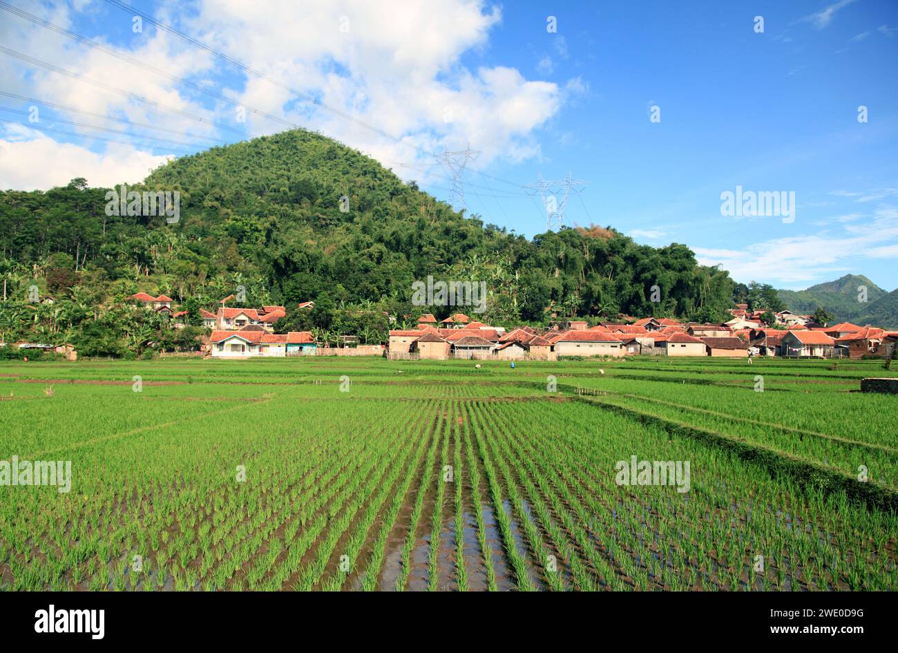 Ackerland in Soreang bei Ciwidey in West-Java, Indonesien Stockfoto